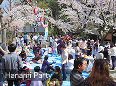 Hanami Party
